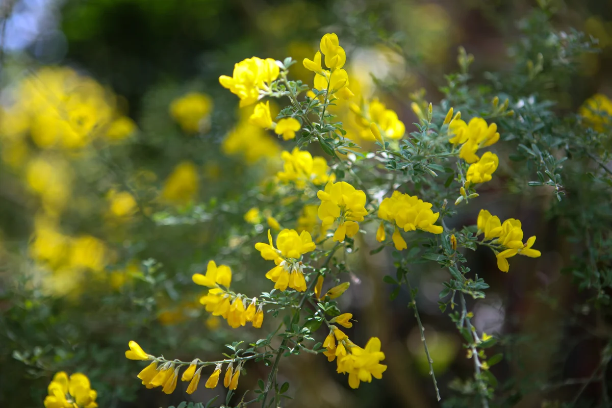 완도수목원 - 완도군 여행