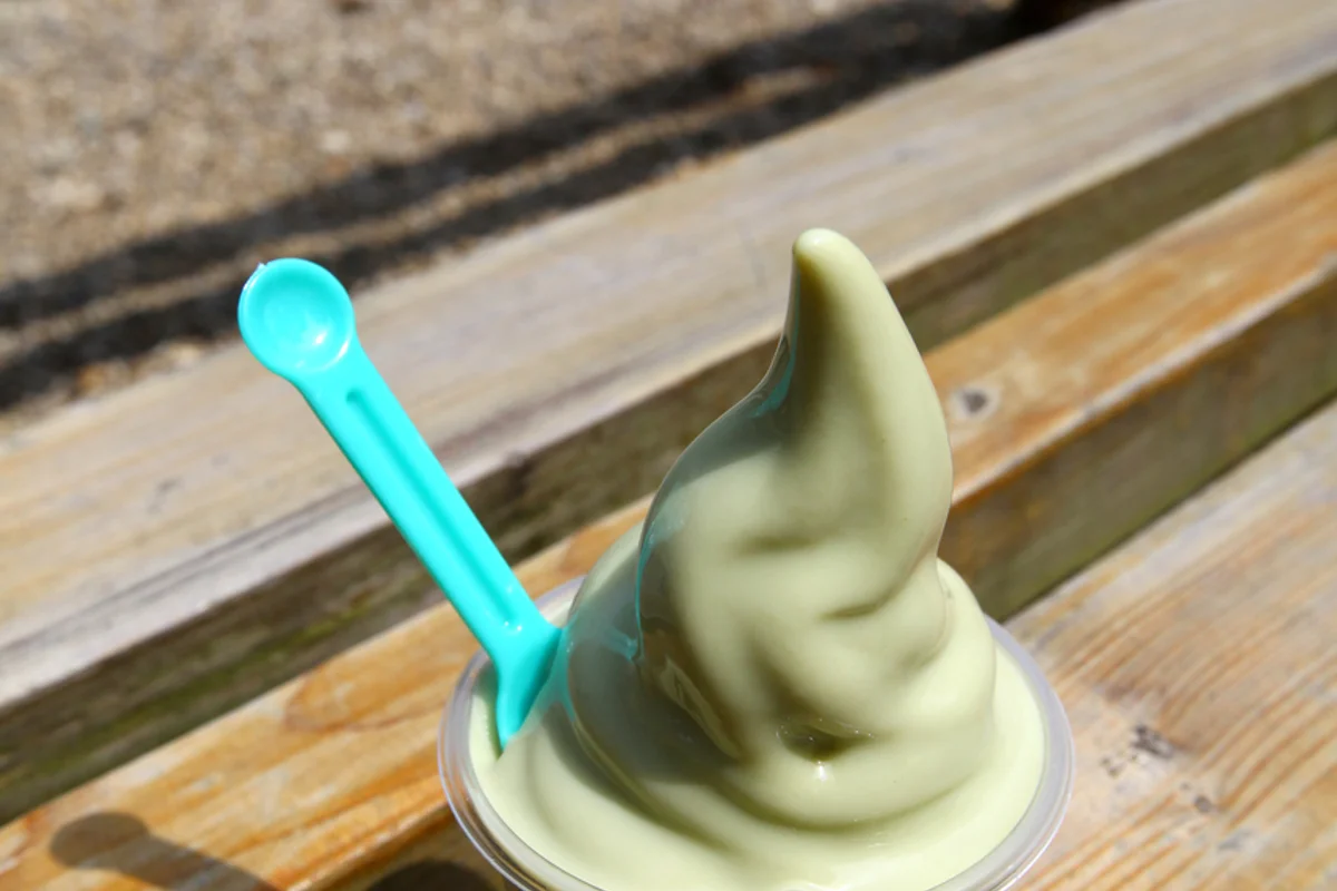 대한다원보성녹차밭 - 보성여행 여행