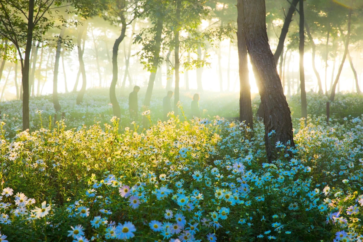 정읍이화곤충공방 - 정읍여행 여행