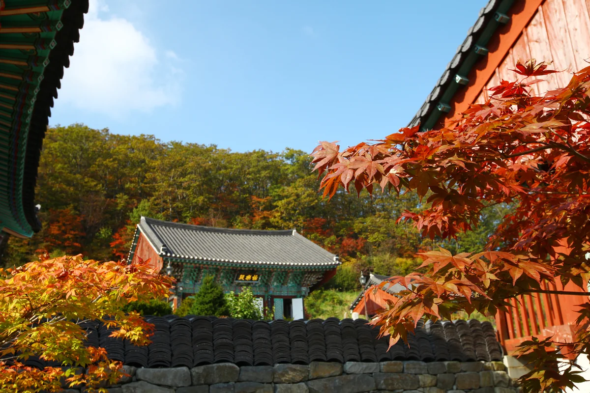 안국사 - 덕유산 여행