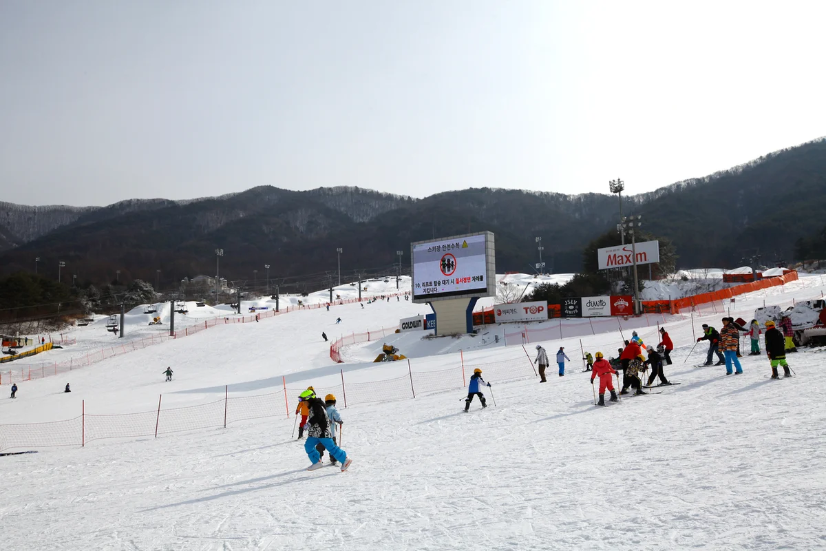 웰리힐리파크: 횡성군 리조트 - 횡성여행 여행