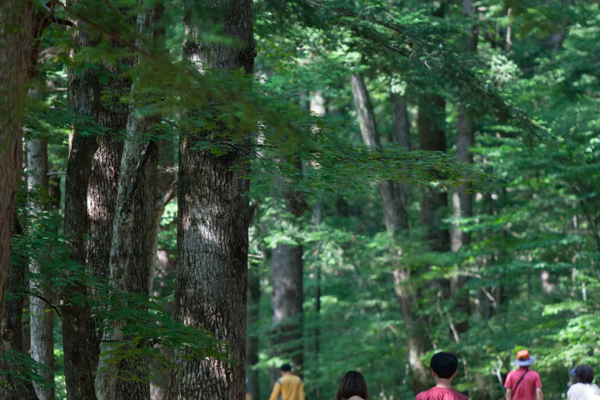 월정사 템플스테이 - 월정사 여행