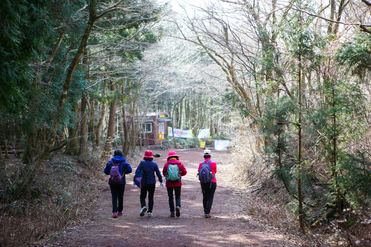 사려니숲길 가볼만한곳 (출처 : 한국관광공사)