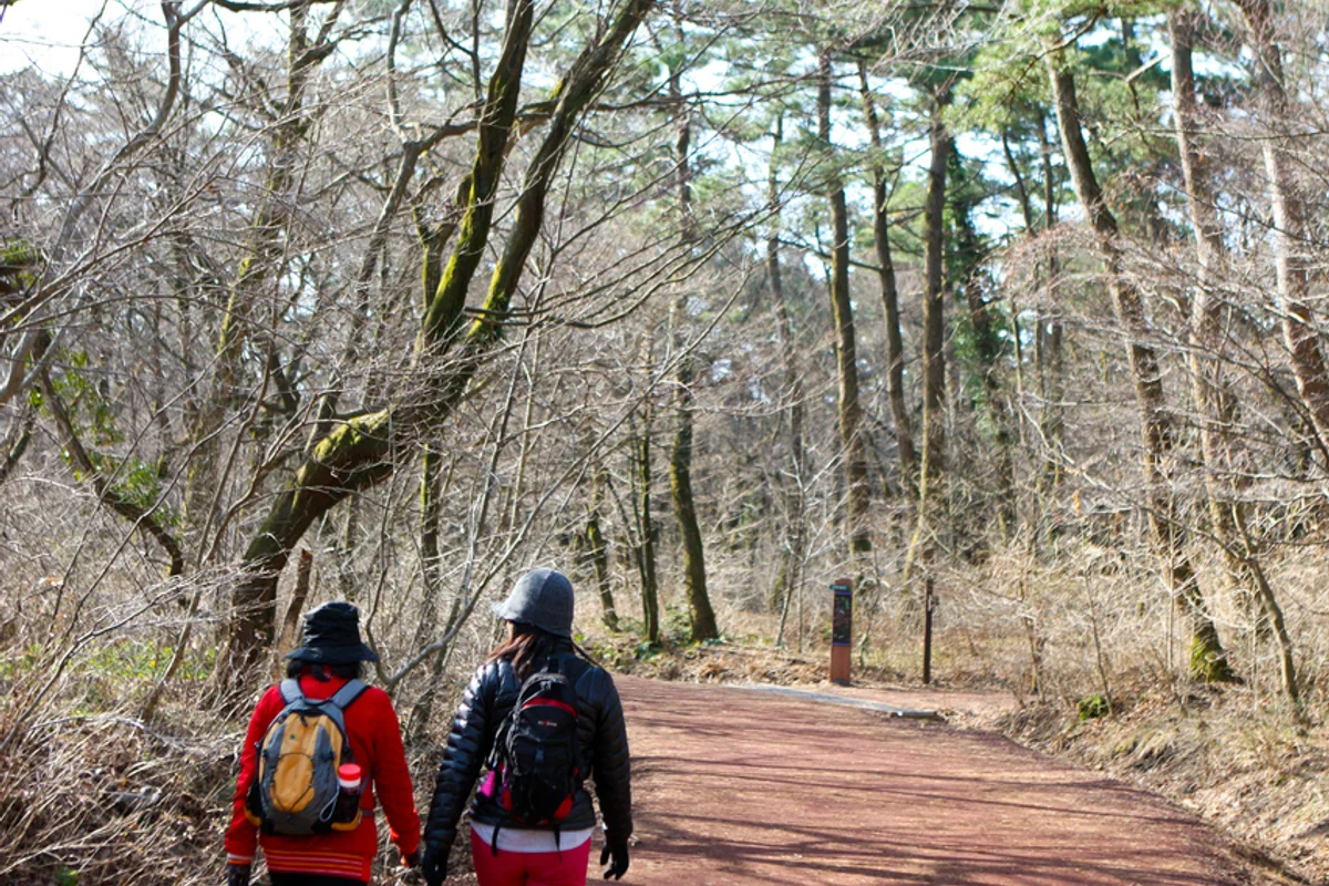 세미오름 - 제주여행 여행