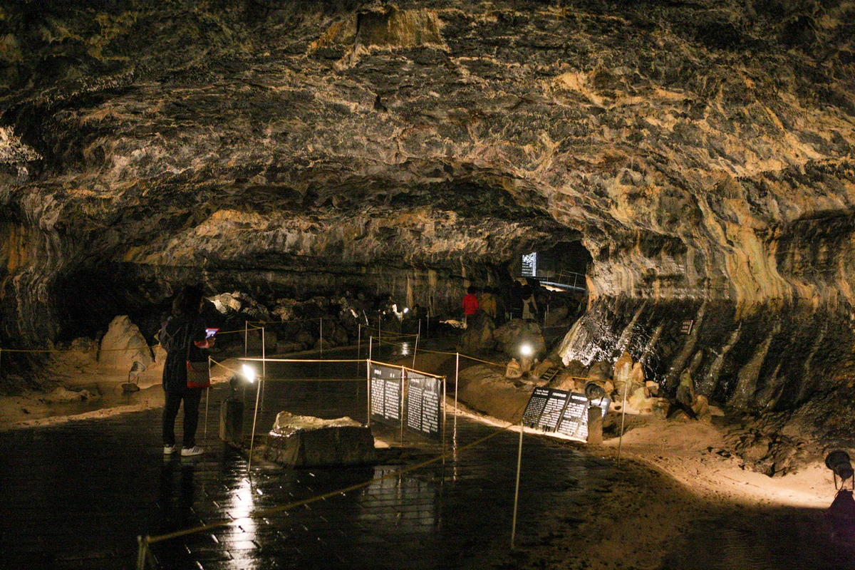 한라산소주 - 협재 여행