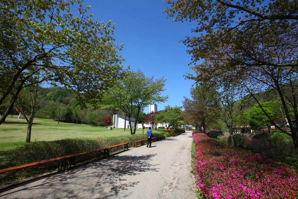 제천 청풍호 전망대 - 제천여행 여행