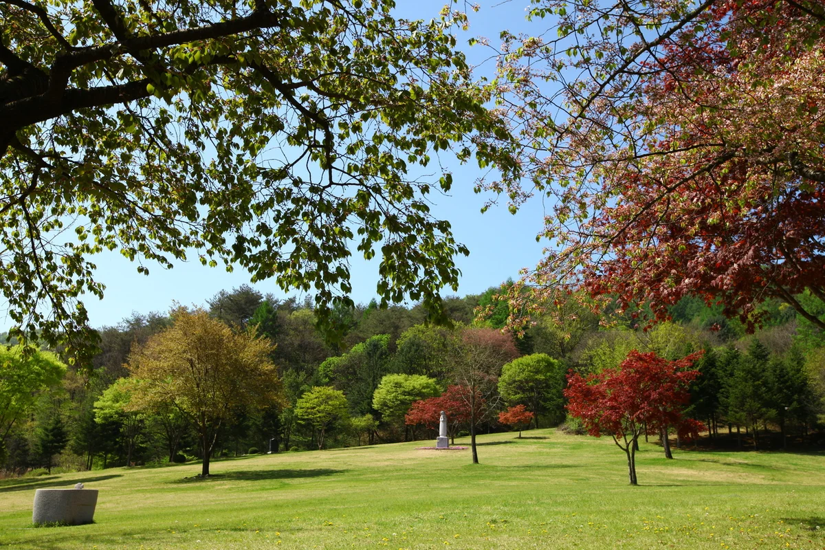 청풍문화유산단지 - 제천여행 여행