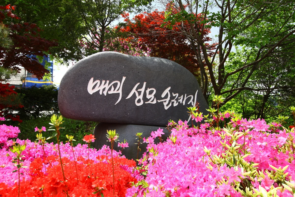 곡성 주말 나들이 (출처 : 한국관광공사)