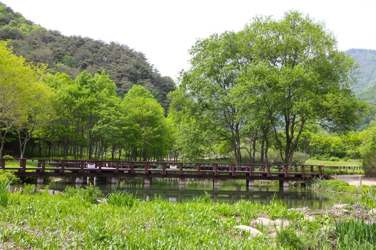 문경새재 여행지 (출처 : 한국관광공사)