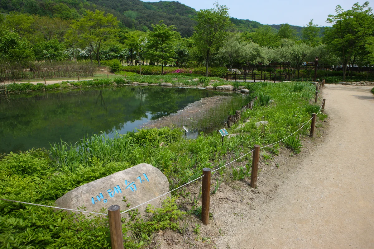 문경생태미로공원 - 문경여행 여행