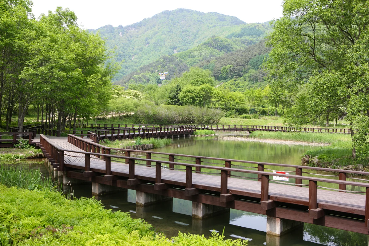 문경오미자테마공원 - 문경여행 여행