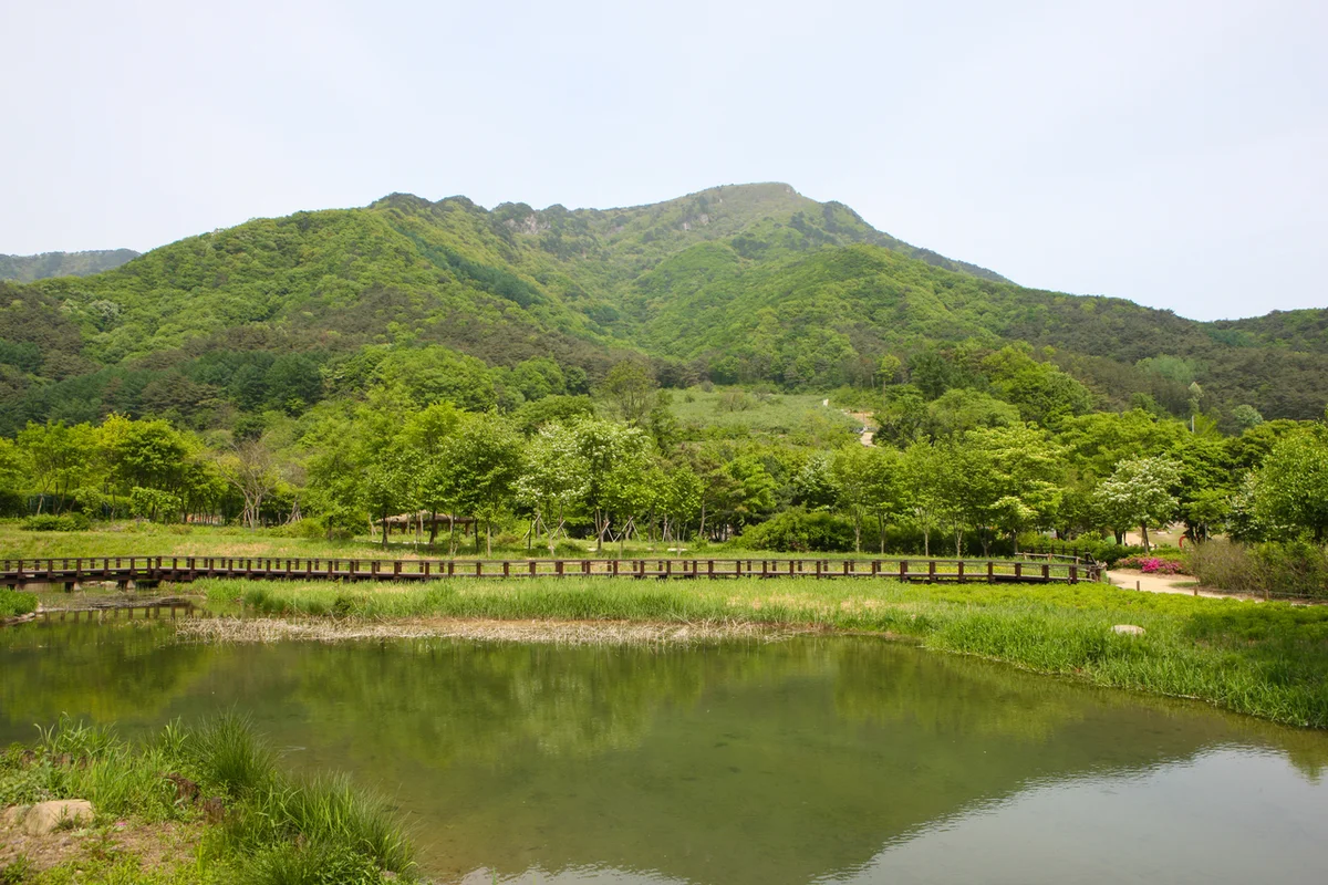 문경새재과거길 - 문경여행 여행