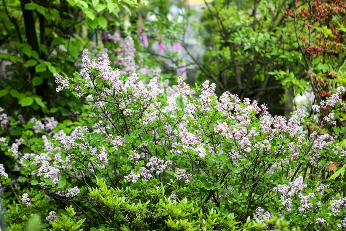 상수 에어비앤비 (출처 : 한국관광공사)