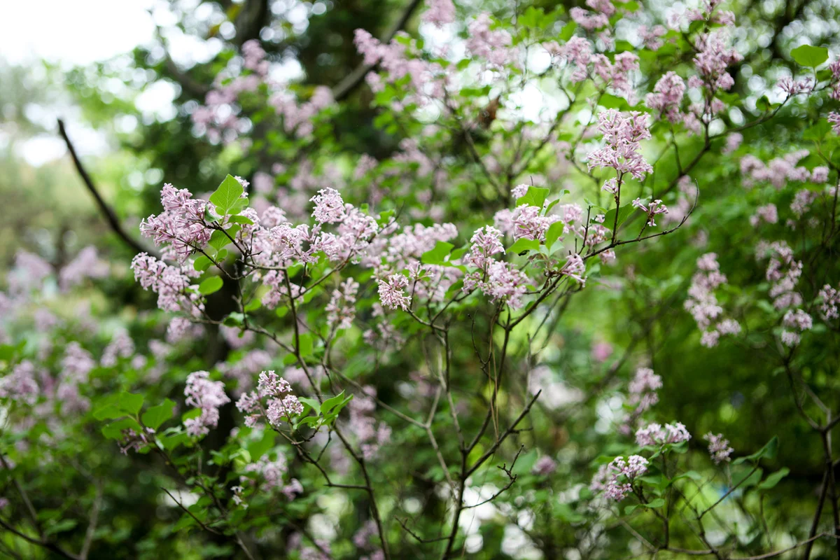 마포새빛문화숲 - 상수동 여행
