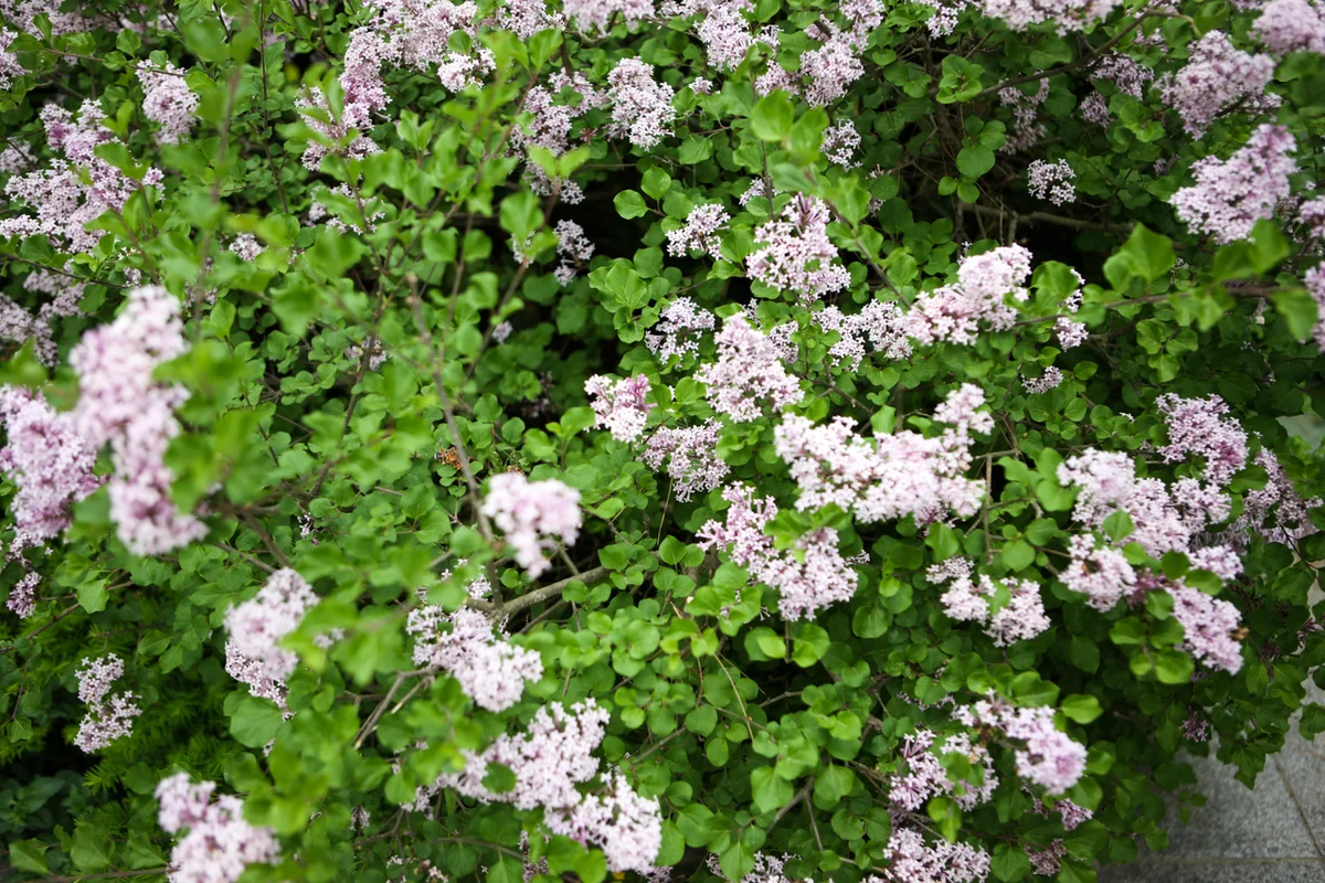 트릭아이뮤지엄 서울 - 상수동 여행