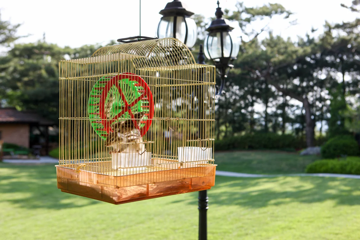 양평 더 그림 (출처 : 한국관광공사)