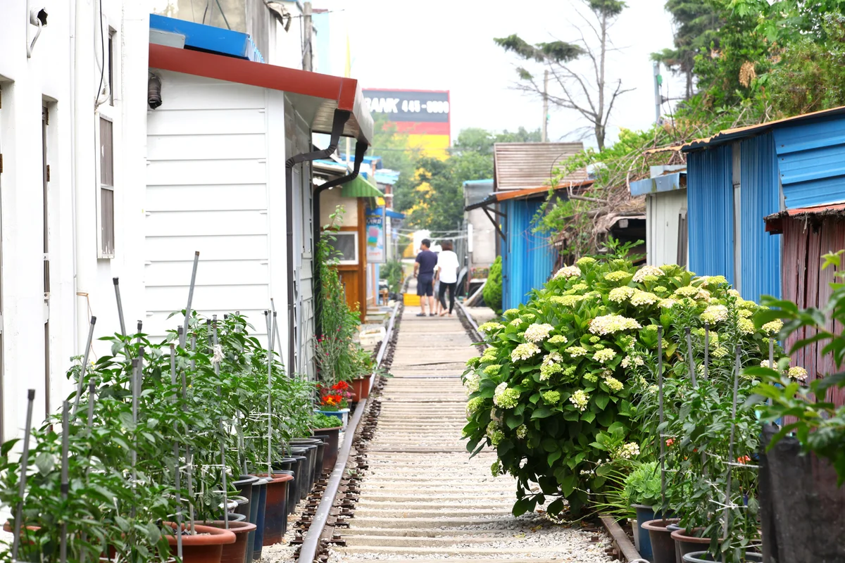 울산대공원 장미원 - 울산여행 여행