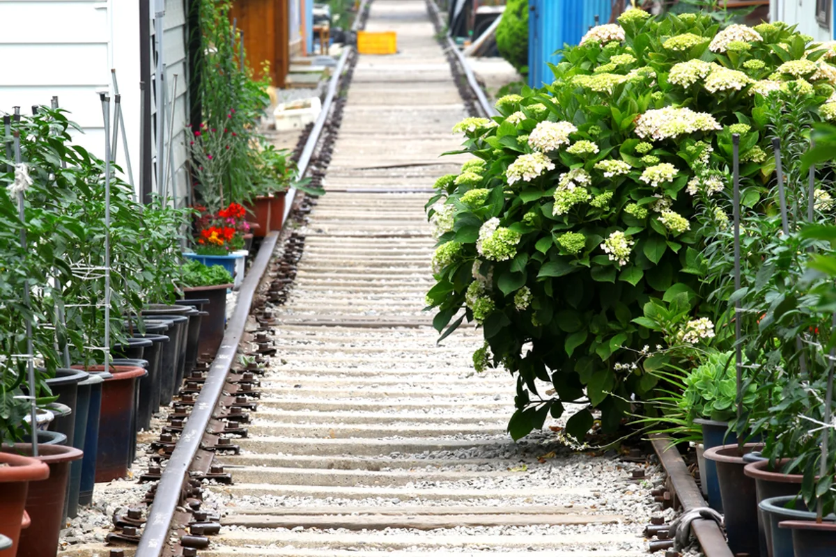 울산대공원동물원 - 울산여행 여행
