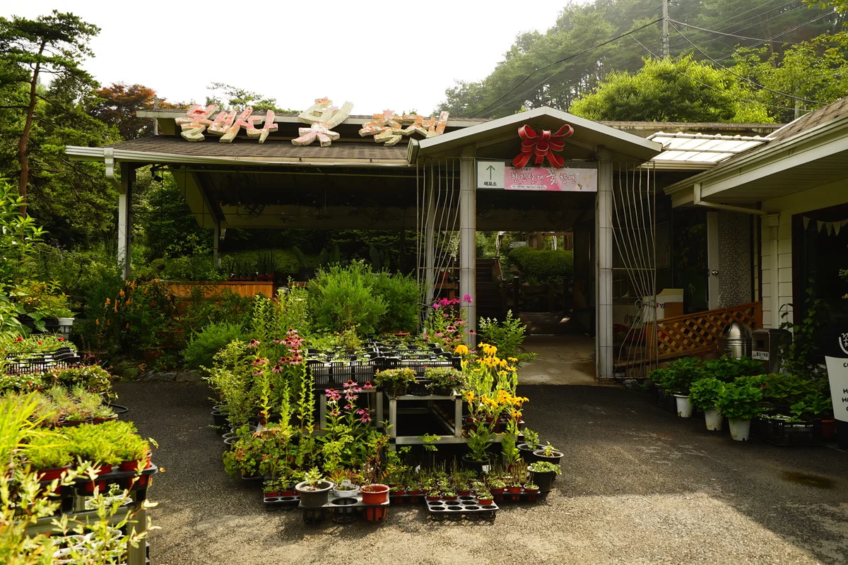 고운식물원 - 청양여행 여행
