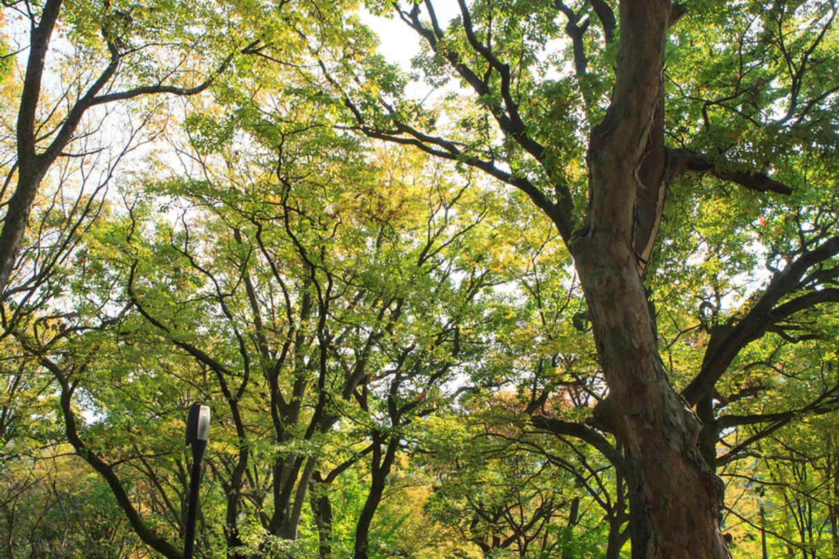 궁동저수지생태공원 - 궁동등산 여행