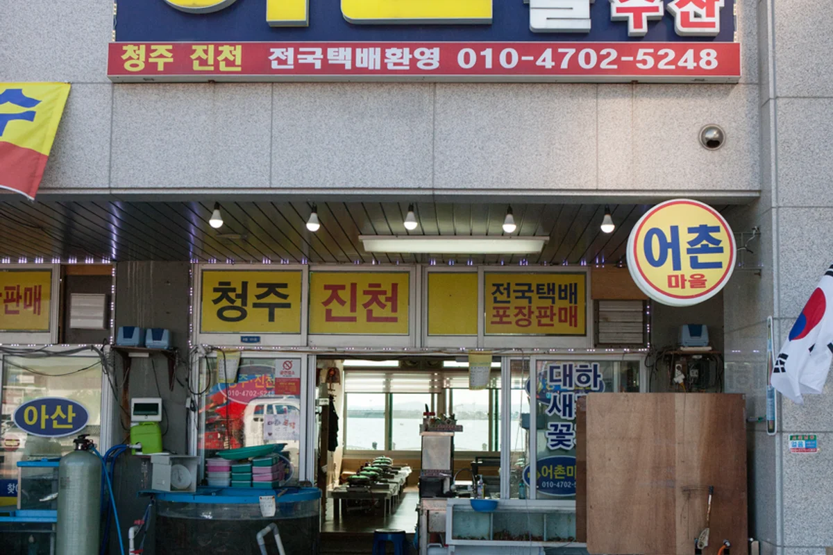 홍성군 서핑, 해양 레저의 새로운 가능성 - 홍성군 여행