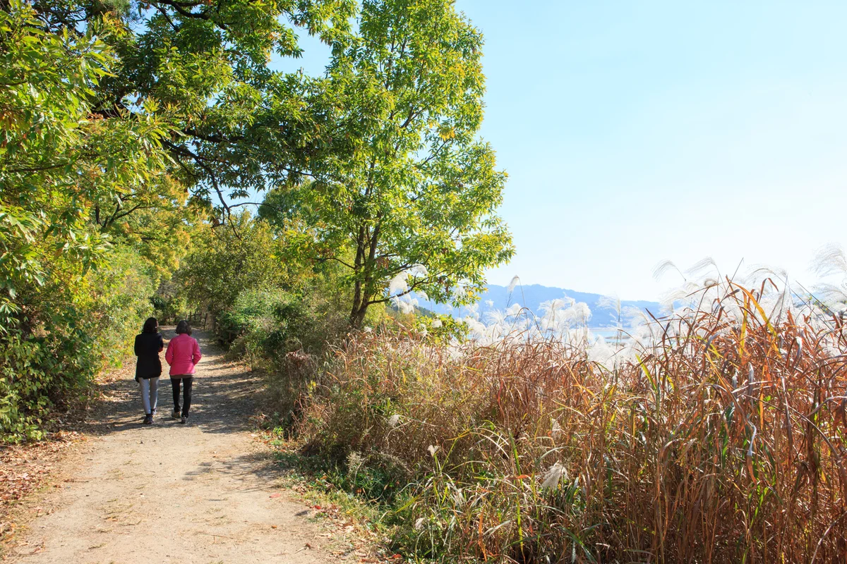 대청호 오백리길 - 계족산 여행