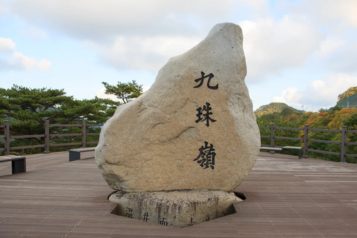 2026 울진 벚꽃 명소 방문 가이드 - 울진벚꽃 여행