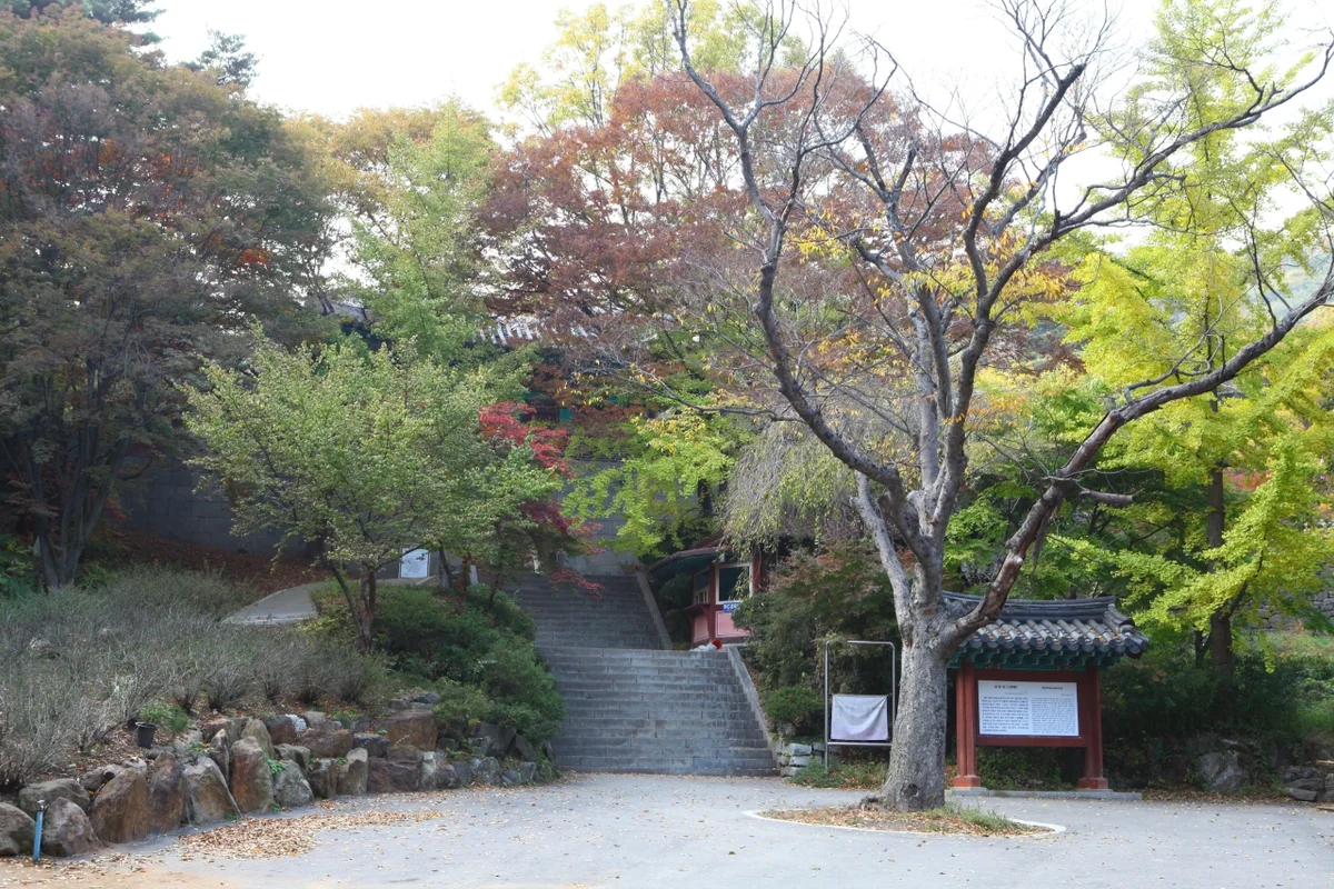 파라다이스시티 - 인천여행 여행