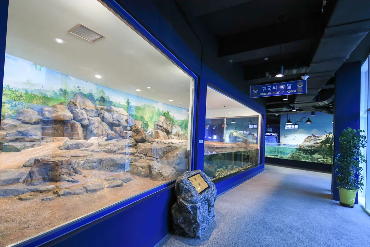 구월동 아쿠아리움 (출처 : 한국관광공사)