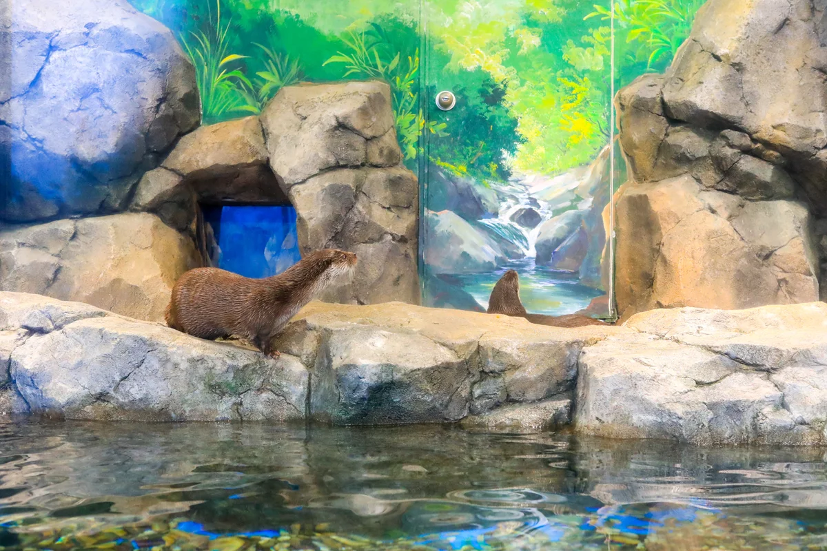 경포아쿠아리움 - 경포대 여행