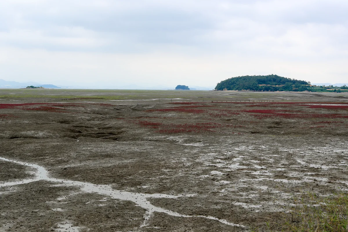 무안황토갯벌랜드 - 무안여행 여행