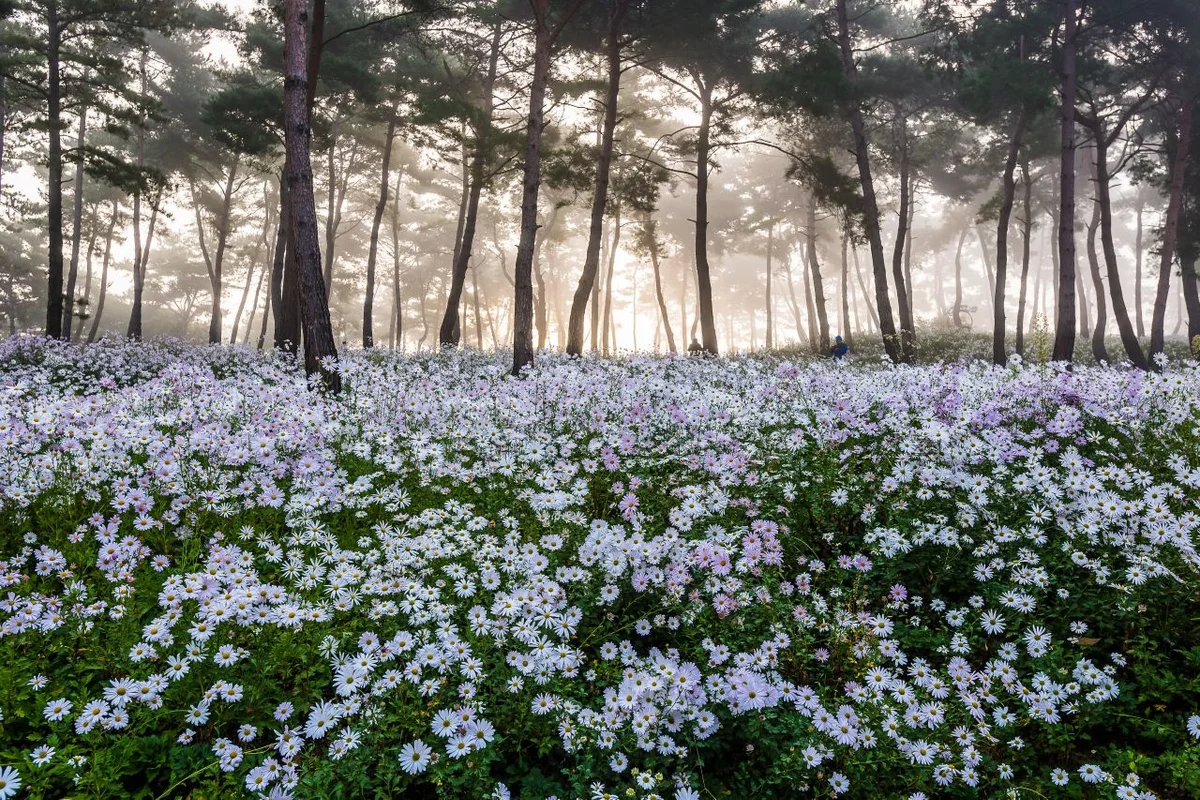 천사히어로즈 - 정읍여행 여행