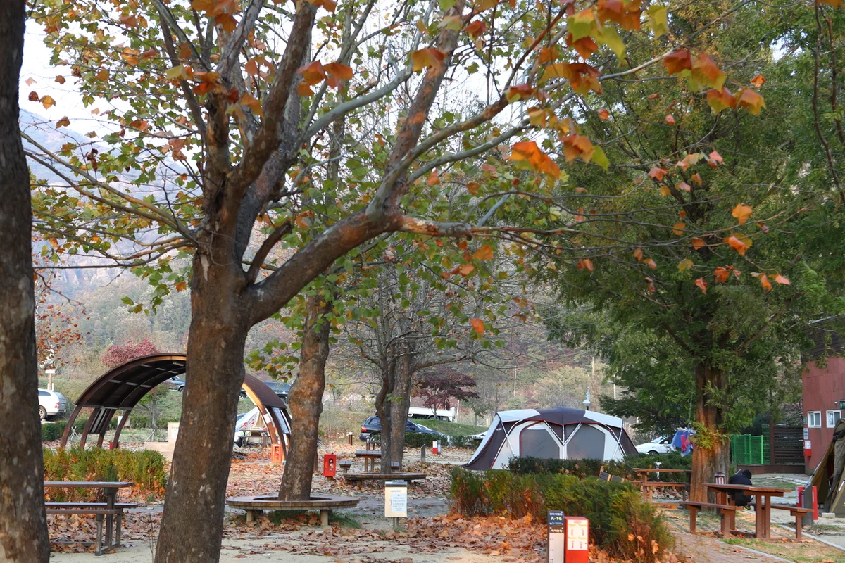 주왕산 인스타 명소, 주왕계곡과 용추폭포 - 주왕산 여행