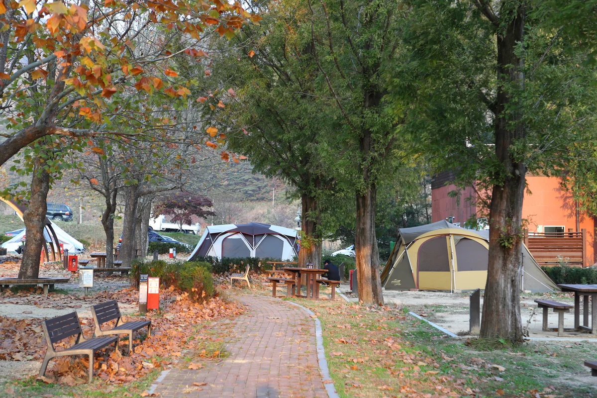 주왕산사과마을 - 주왕산 여행