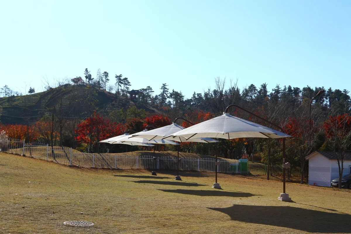 순천만국가정원 - 순천여행 여행