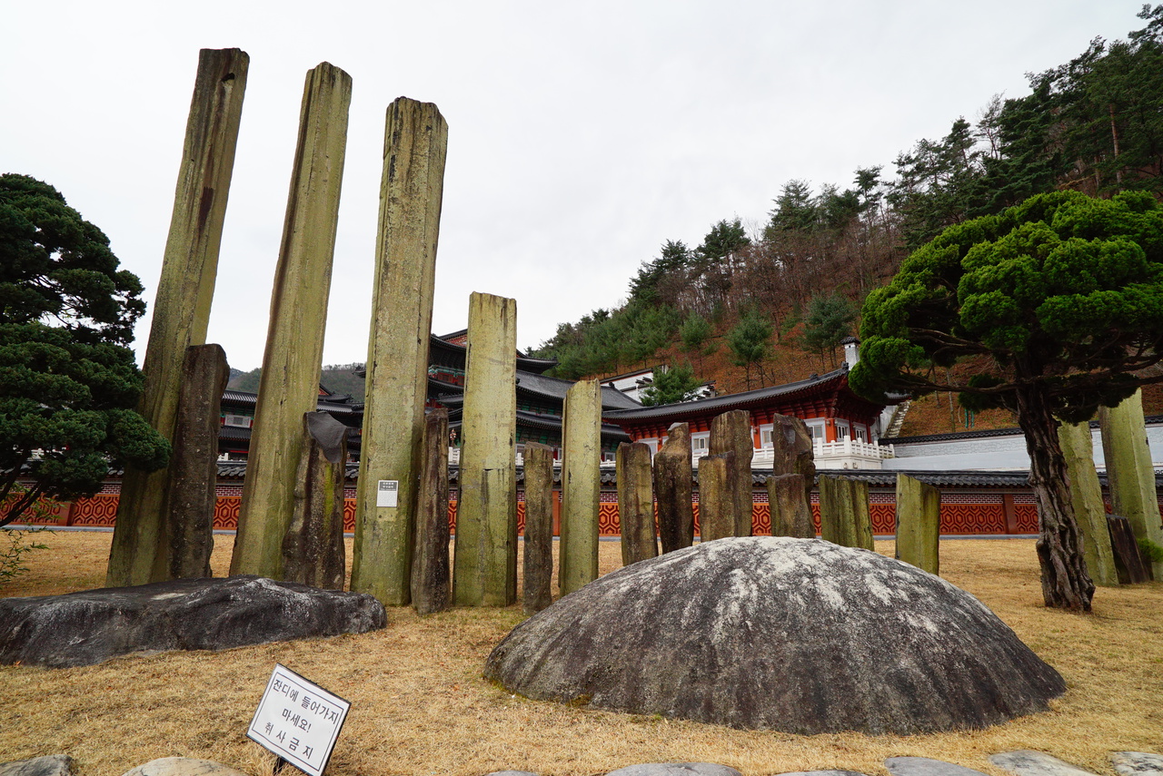 삼척 물회 (출처 : 한국관광공사)