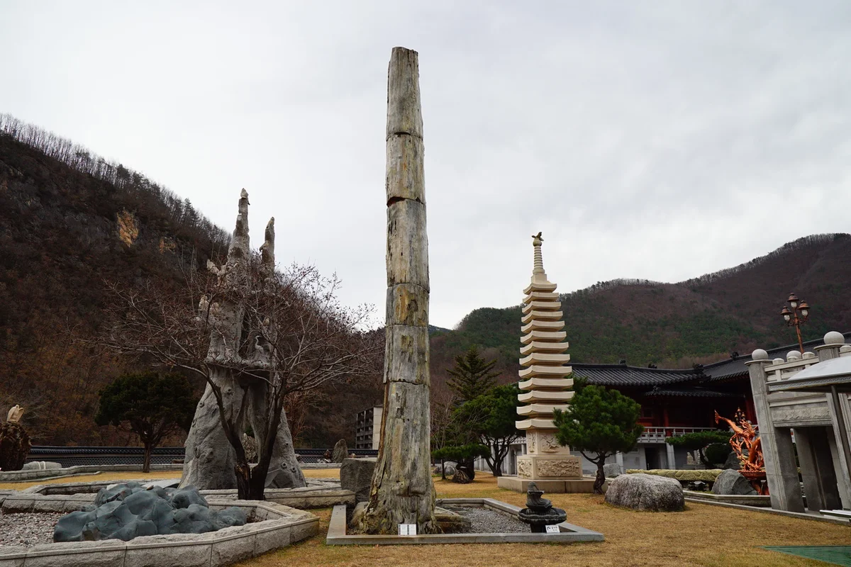 삼척 스카이워크 - 강원도여행 여행