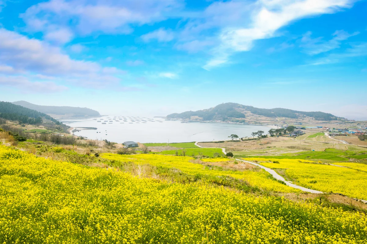 완도군 봄 여행 (출처 : 한국관광공사)