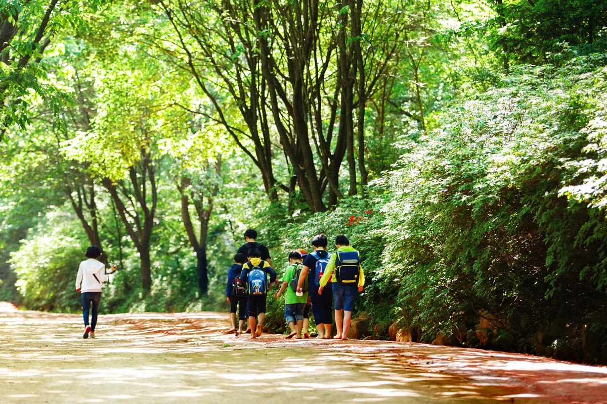 대덕구 짚라인 (출처 : 한국관광공사)