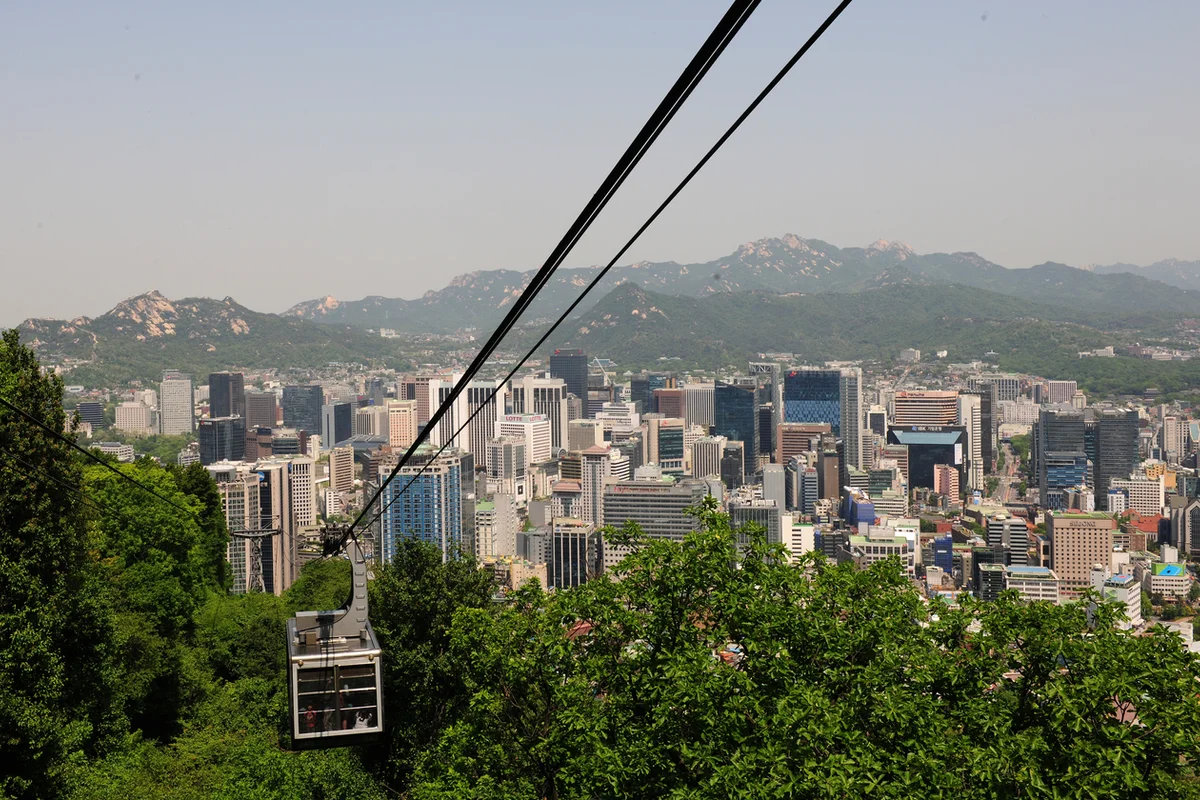 N서울타워 후기: 벚꽃 명소 - N서울타워 여행