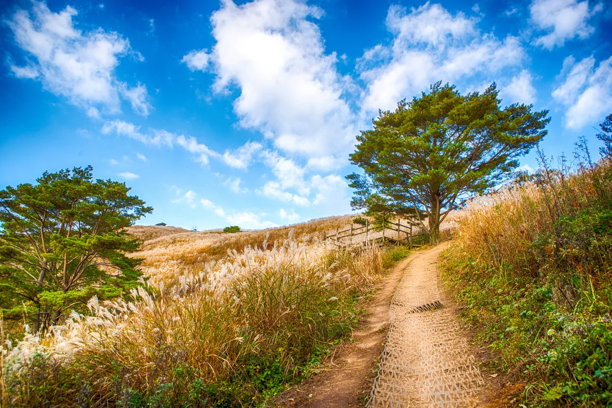 민둥산 - 정선여행 여행