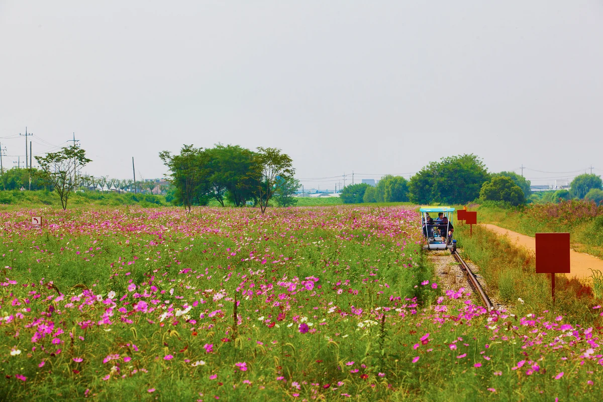 진위천유원지 - 평택 여행