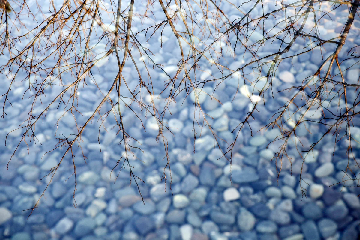 뮤지엄산 - 원주시 여행