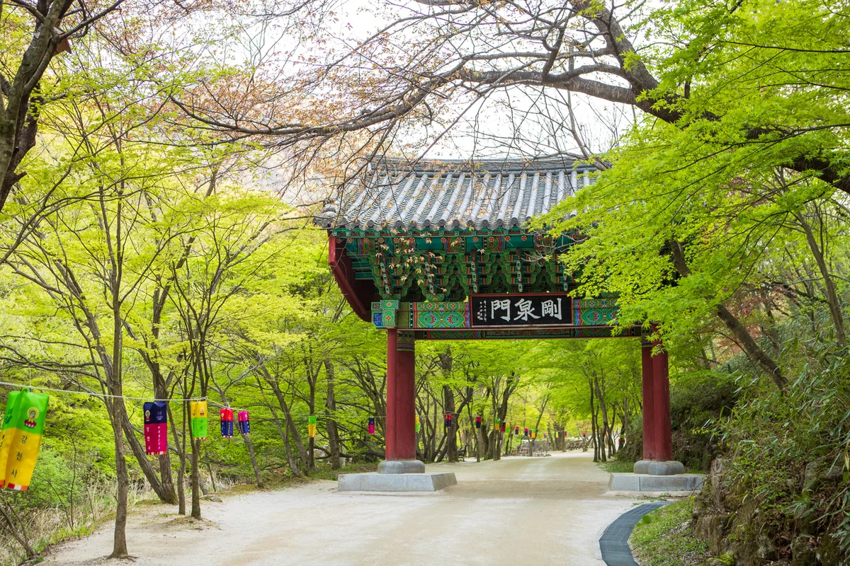 순창군 짚라인 (출처 : 한국관광공사)