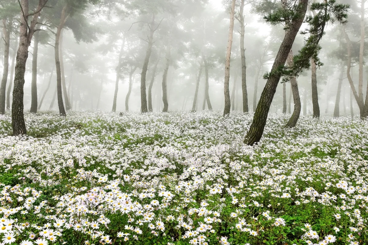정읍시 아이와 가볼만한곳 (출처 : 한국관광공사)