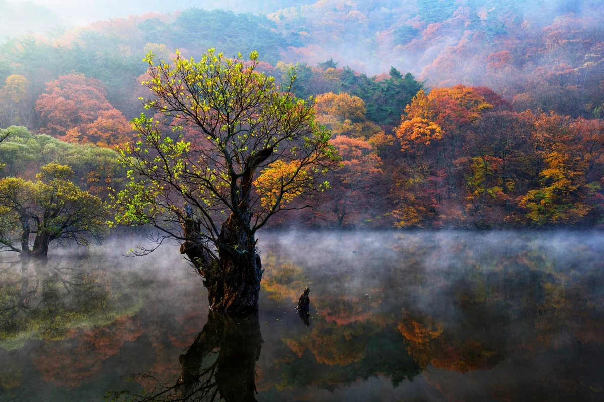 주왕산 - 경북여행 여행