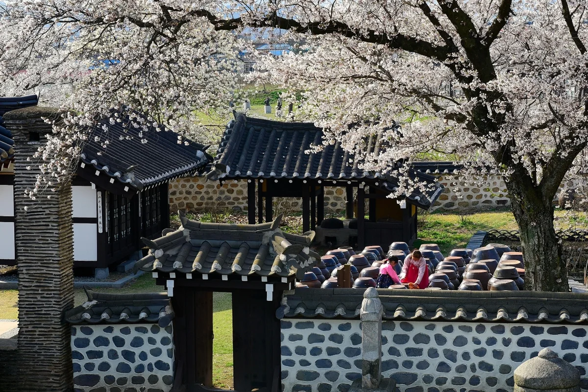 아그로랜드 태신목장 - 예산여행 여행