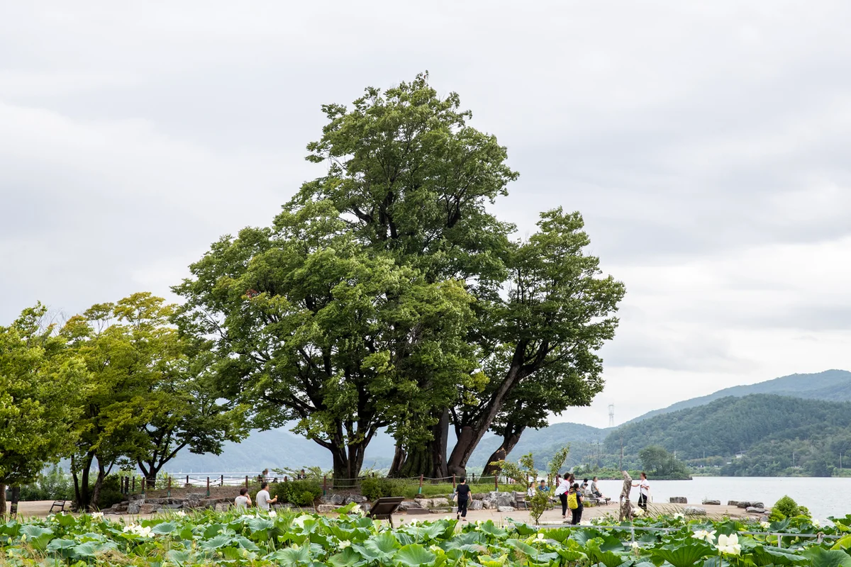 수미마을 - 양평 여행