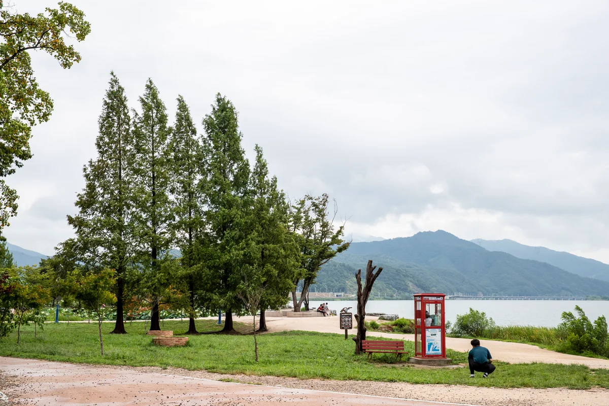 양평양떼목장 - 양평 여행