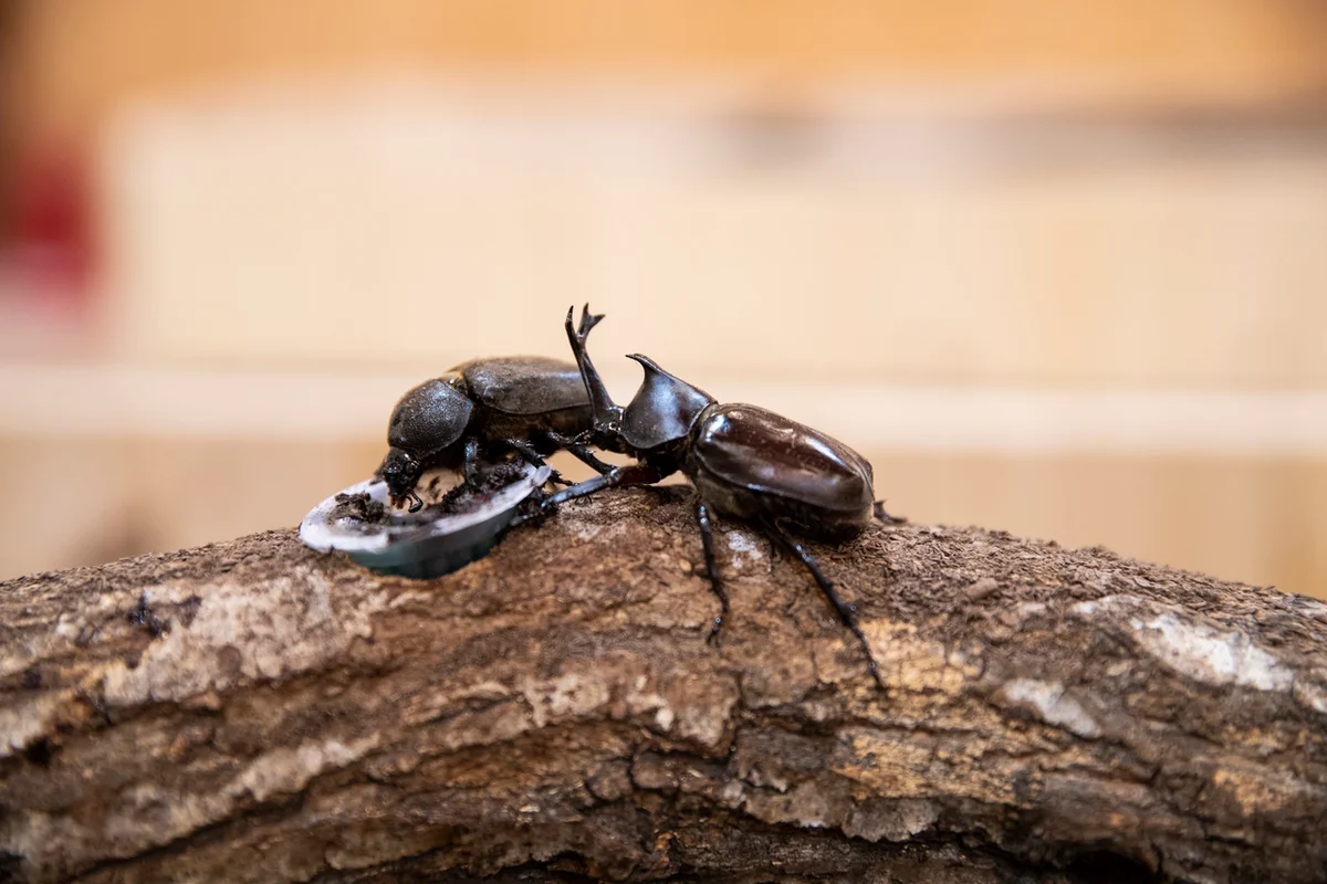 장안산 - 장수여행 여행